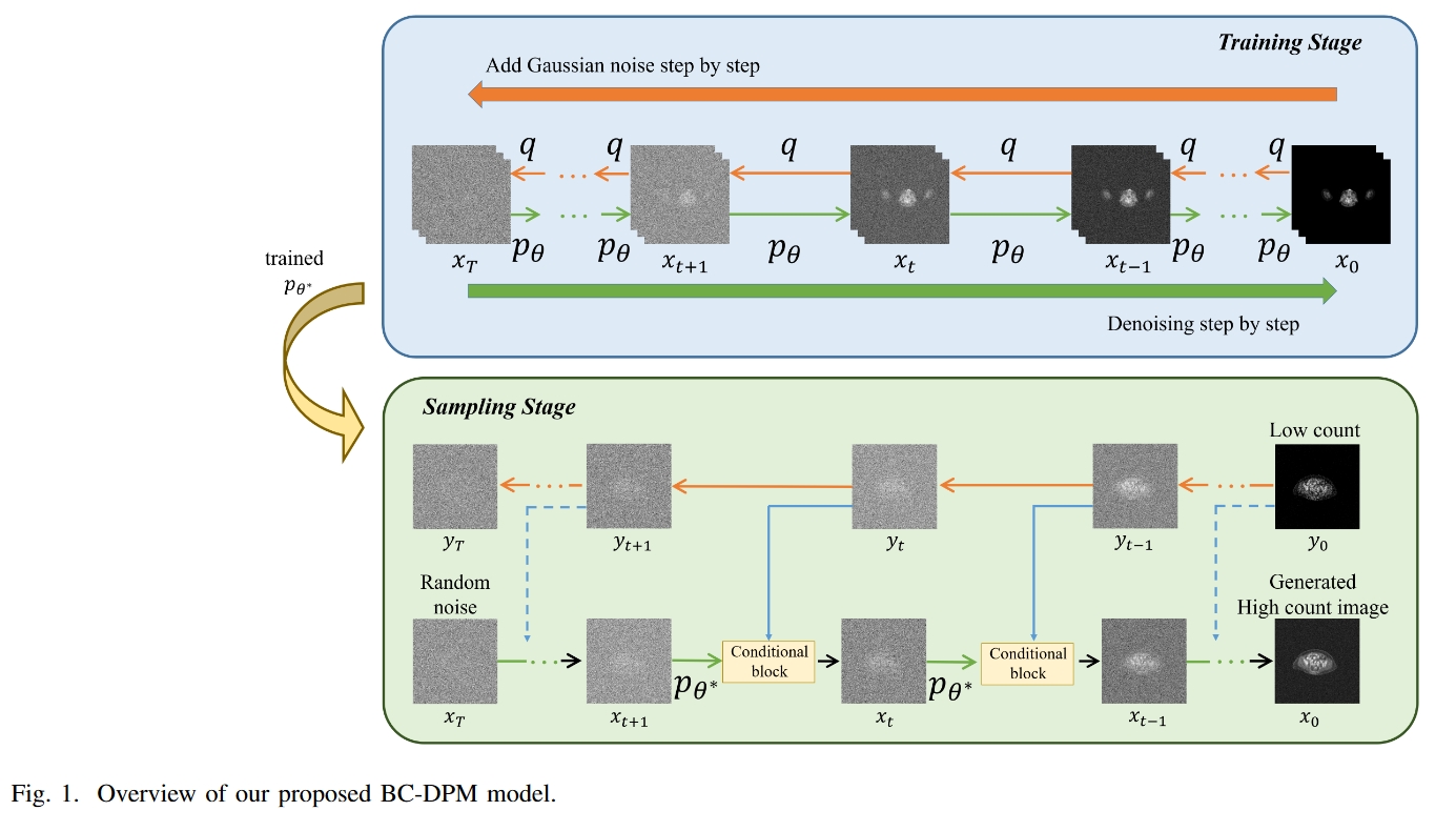 BC-DPM